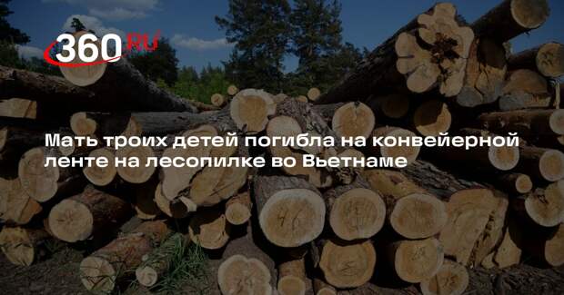 Мать троих детей погибла на конвейерной ленте на лесопилке во Вьетнаме