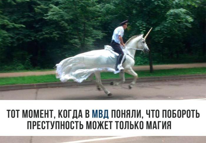 Лучшие хохотушки. Смех на всю неделю