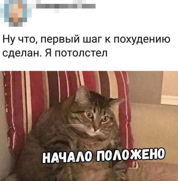 Подборка картинок (32 фото)
