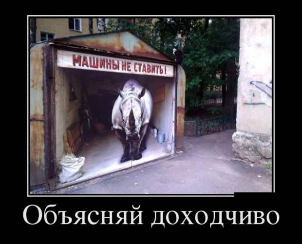 Демотиваторы
