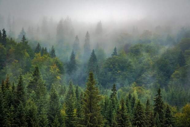 landscape-975091_1920 (1) alt