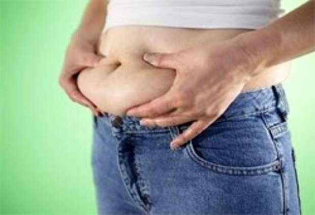 Употребление жирной пищи приводит к увеличению веса