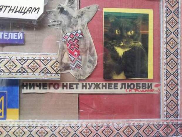 Украинский маркетинг: Сеть смеётся над рекламой вышиванок (ФОТО) | Русская весна