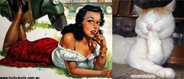 Кошки и девушки в стиле пинап pinupcats05 Кошки и девушки в стиле пинап