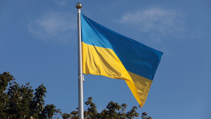 Украина хочет стать новым Пуэрто-Рико, а станет вторым Афганистаном - политолог
