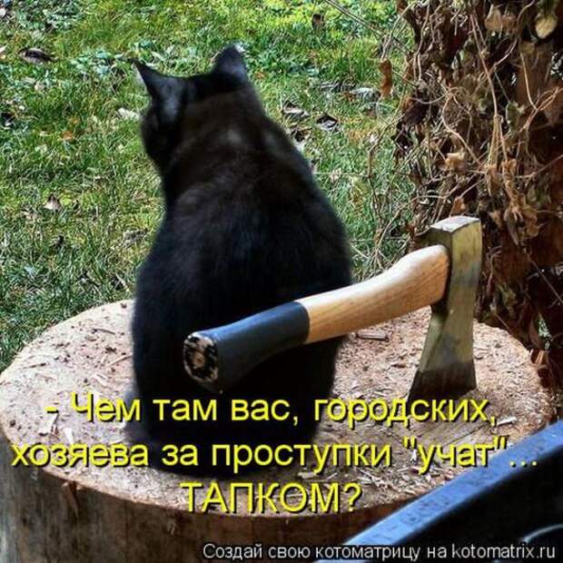 Котоматрицы (картинки с надписями)