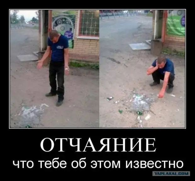 - А вы знаете, почему рыбы молчат? Чтобы рыбака не спугнуть. А то кто им ещё вкусняшек принесёт! - А вы знаете, почему рыбы молчат? Чтобы рыбака не спугнуть. А то кто им ещё вкусняшек принесёт! потом, через, сразу, перед, дамочка, Поднимаясь, только, словами, Люблю…, куплю, дурак, конечноМужик, наигравшись, вдоволь, танчики, заходит, опочивальню, Кисюня, спишь, боекомплект