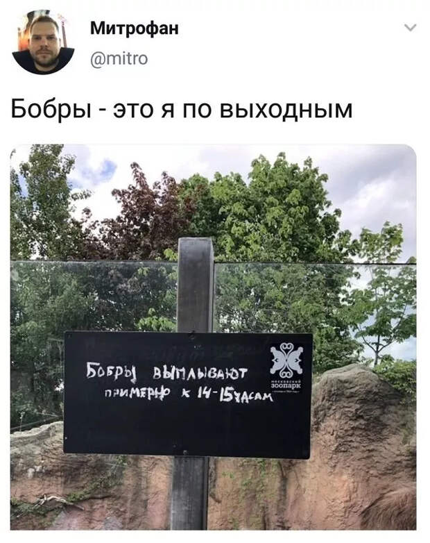 Подборка забавных твитов обо всем