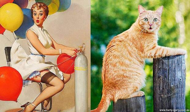 Кошки и девушки в стиле пинап pinupcats19 Кошки и девушки в стиле пинап