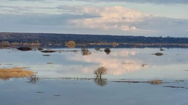 В Рязанской области можно полюбоваться «спасским морем»