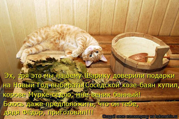 kotomatritsa_52 (700x465, 439Kb)