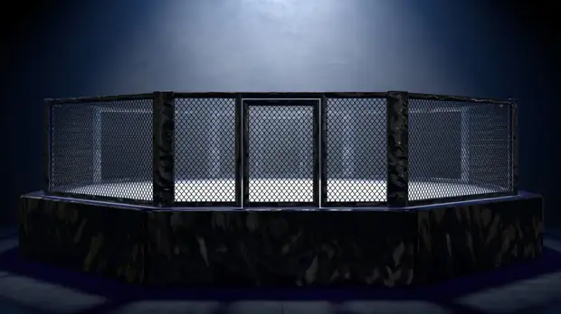 Бой между Шлеменко и Исмаиловым перенесён из-за травмы Магомеда