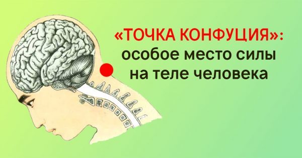 thumb-600x315 (1)