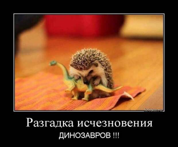 Демотиваторы отличной подборочкой для зарядки позитивом на весь день!