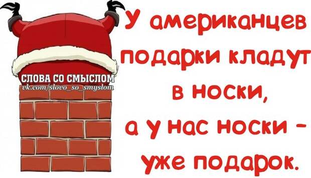 Прикольные фразочки в забавных картинках