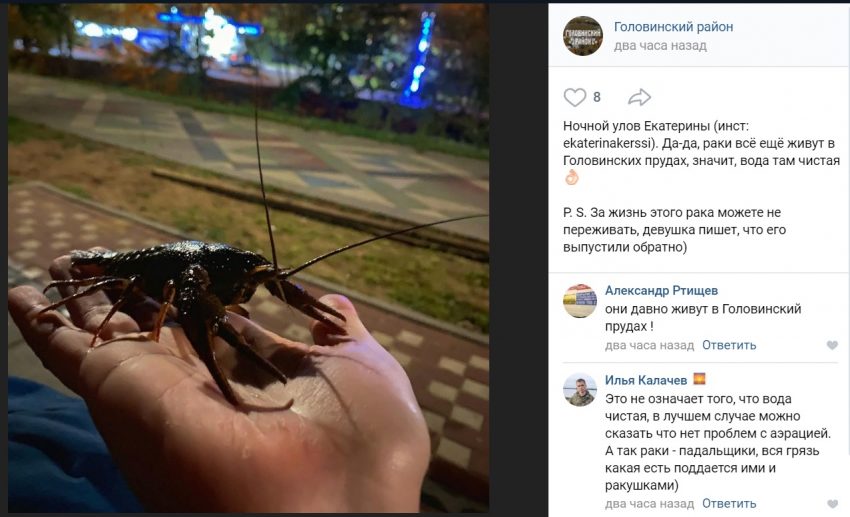 Фото дня: рака из Головинских прудов выловили и отпустили обратно