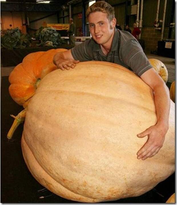 unusual-fruit-and-vegetables18