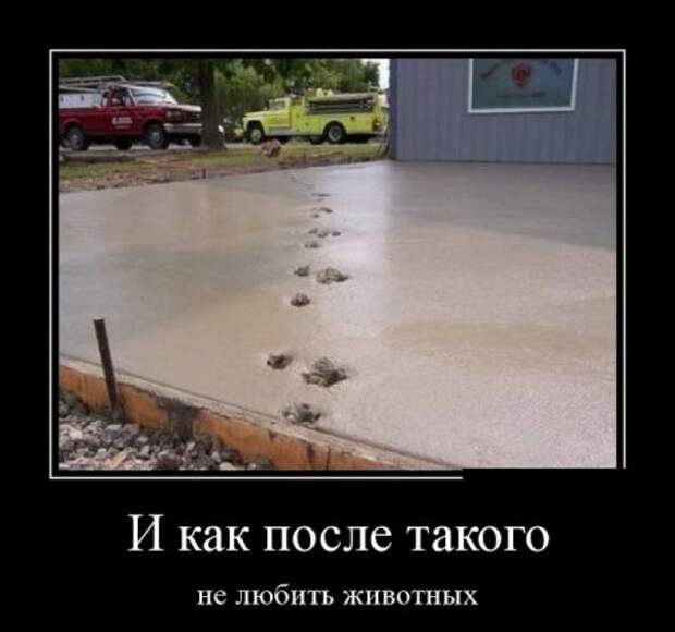 Демотиваторы (30 фото)
