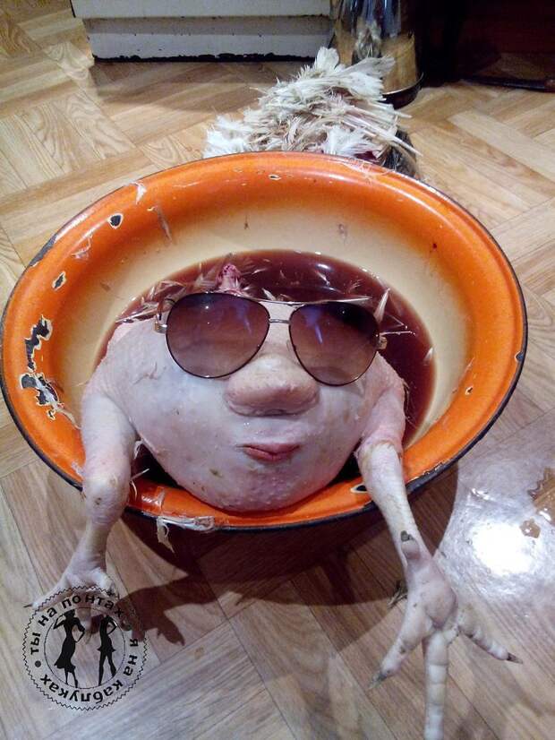 ПОПРОСИЛА МУЖА КУРОЧКУ ПРИГОТОВИТЬ. СЛЫШУ ХИХИКАЕТ НА КУХНЕ. ЗАШЛА И ВИЖУ... ЭТО...