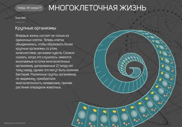 www.vsyako.net