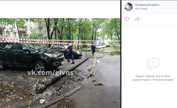 Больше тридцати деревьев пострадало от ветра в Головинском