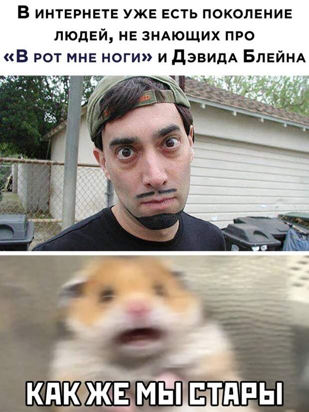 Смешные картинки 29 января 2021
