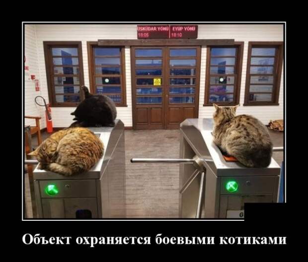 Демотиваторы (30 фото)