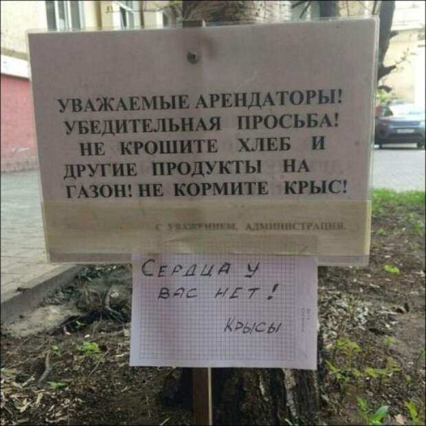 Прикольные объявления, вывески и реклама (23 фото)