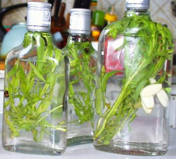Уксус с травами в бутылке рецепт с фото