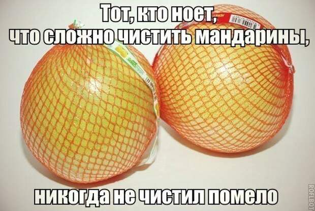 Прикольные и смешные картинки