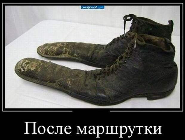 Веселые “маршрутки” маршрутка, юмор