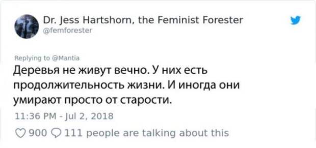 SBЛюди делятся забавными заблуждениями о своих профессиях И это смешно