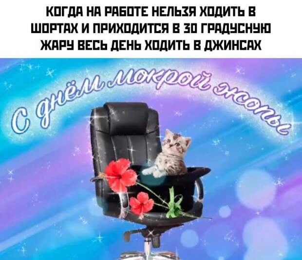 Смешные картинки вечерний выпуск 30 июля 2021