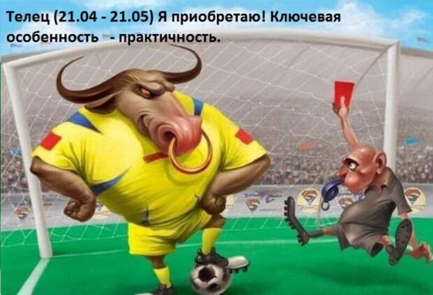 Забавный Зодиак (12 картинок) Забавный Зодиак (12 картинок)