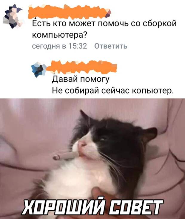 Смешные картинки 25 марта 2022 года