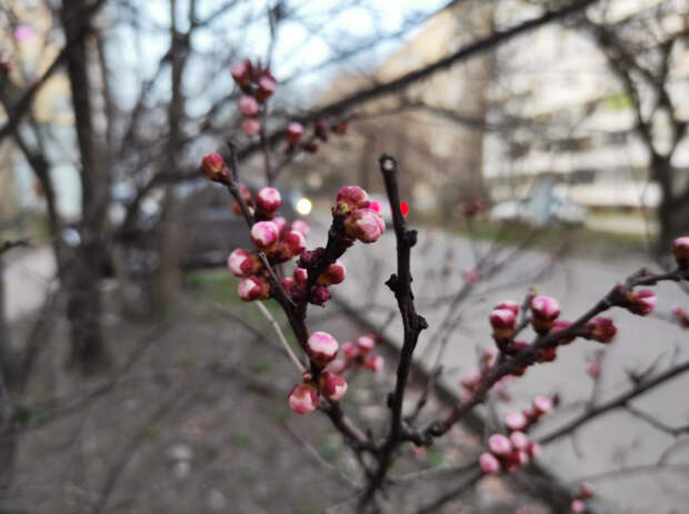 На Кубань обрушится непогода: шторм и сильные дожди