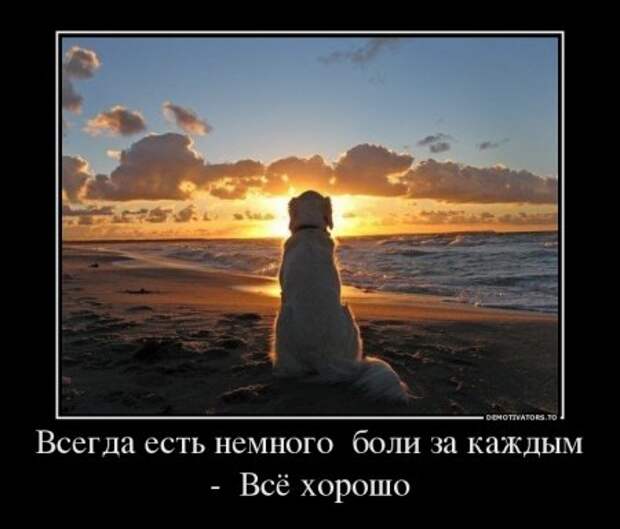 Демотиваторы на тему - Наши чувства.