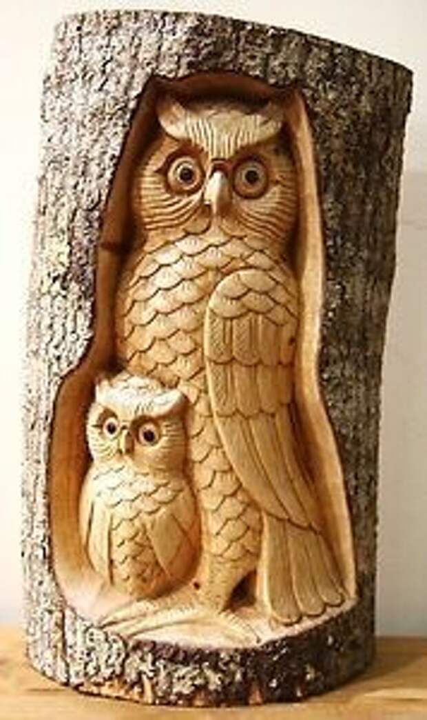 owl inside tree trunk - Google Search