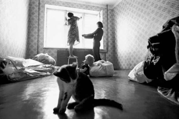 Кот и новоселье. Фотограф Владимир Ролов