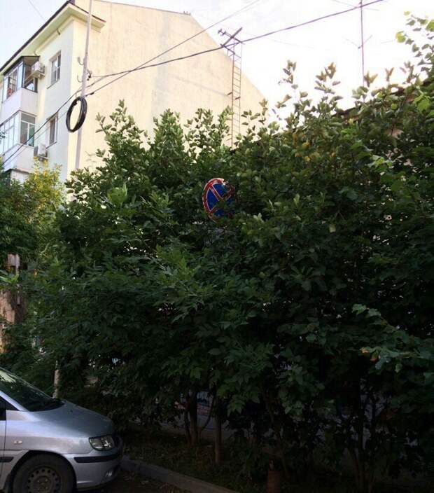 Особенности ПДД по-русски, о которых не рассказывают в автошколах авария, автомобили, автошкола, знак, парковка, пдд, прикол, юмор