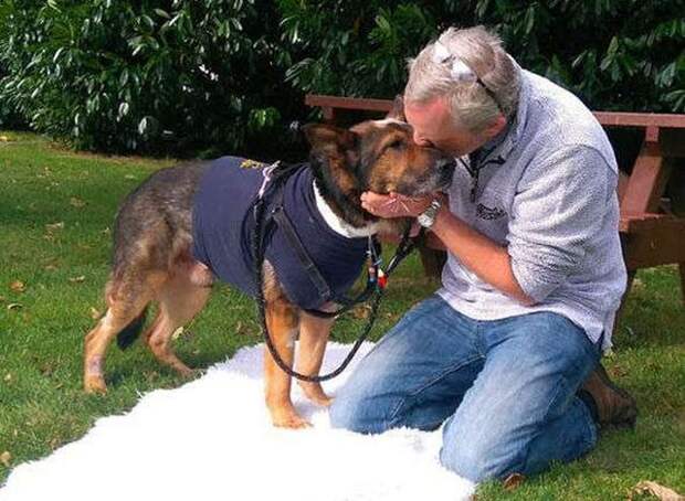 Бесстрашный полицейский пес (7 фото)