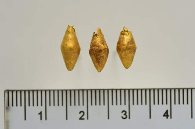 Золото саков: археологи Казахстана обнаружили уникальное захоронение