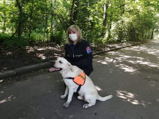 В составе Пожарно-спасательного центра Москвы несут службу семь кинологических расчетов. Фото: Пресс-служба МЧС по ЮВАО