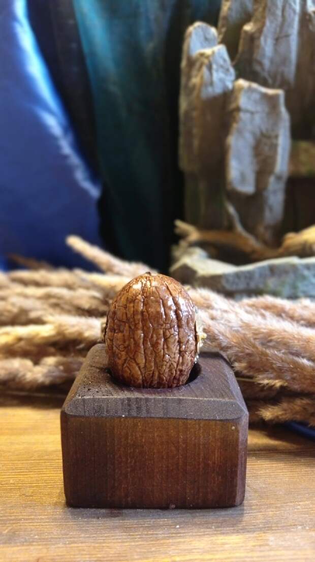 Потрясающие миниатюры в скорлупе грецкого ореха от Марии Чиковой