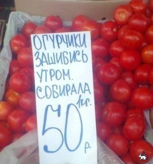 Маразмики