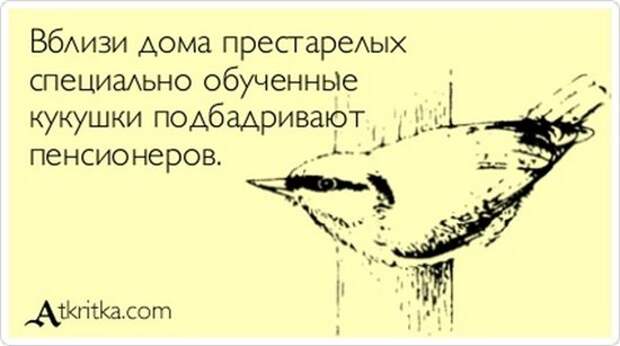 Анекдоты в картинках Анекдоты в картинках