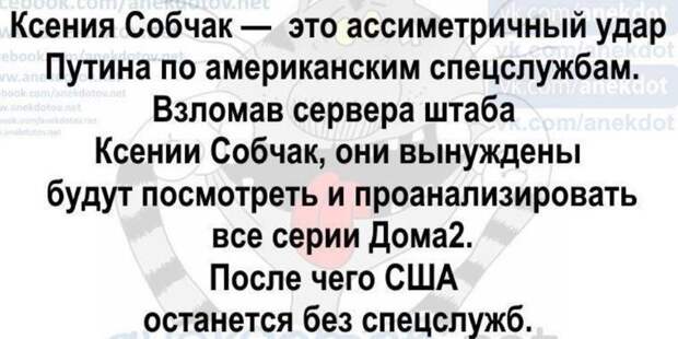 Как у соцсетей пригорает от Собчак и ее предвыборной кампании