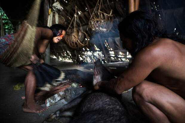 Племен Амазонии на снимках московского фотографа