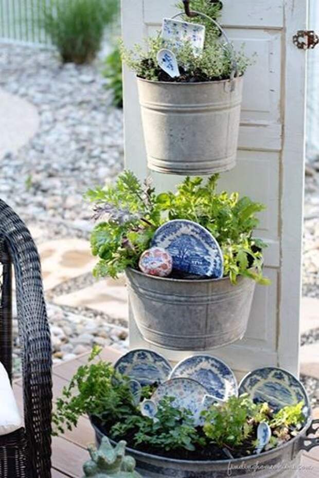 Old Plates Decorate Flowers in Galvanized buckets: 