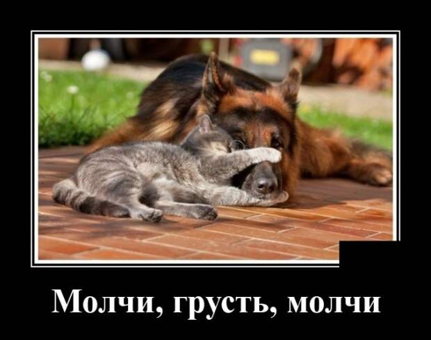 Демотиваторы (30 фото)